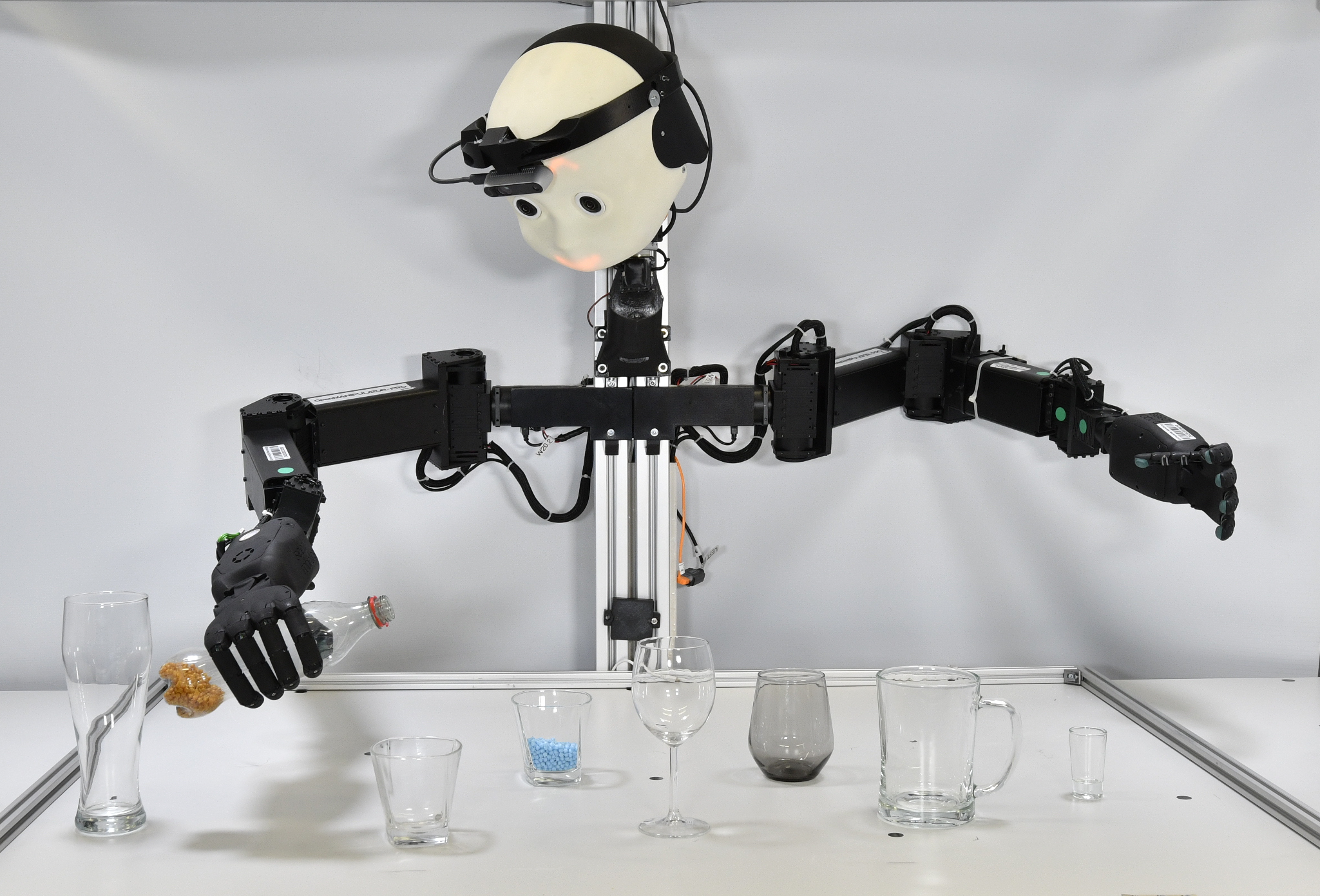 NICOL humanoid robot